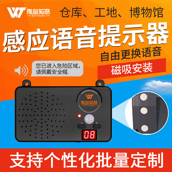 WT-E10 户外感应语音提示器