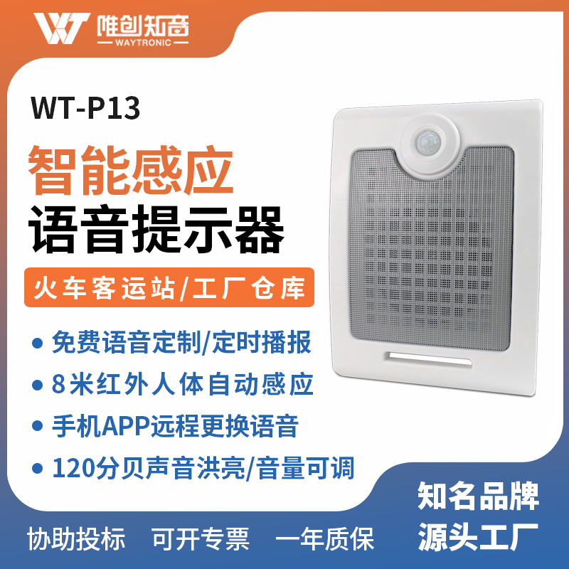 WT-P13智能感应语音播报器